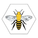 B.E.hive